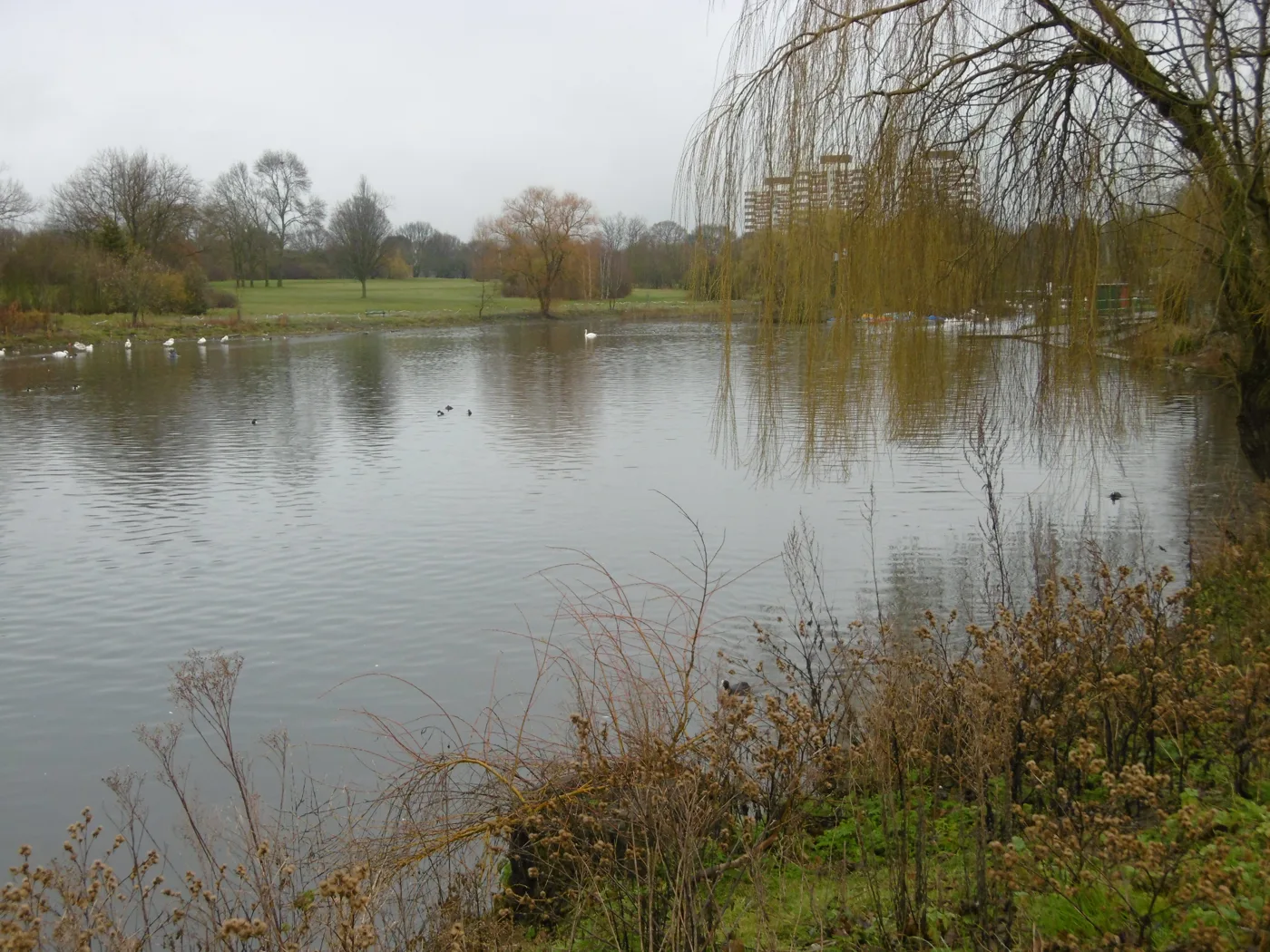 The boating lake in Harrow Lodge Park, Hornchurch, the park where Christmas Land is held; the picture shows the park by day, not the lights trail