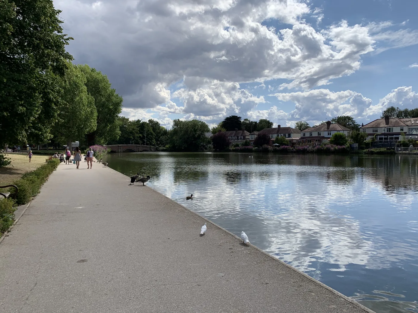 The lake and bridge at Raphael Park, Romford, where the bandstand hosts Summer Sessions Live on Sunday afternoons through August.